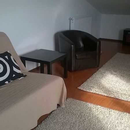 Alexander Apartment Bukurešť Exteriér fotografie