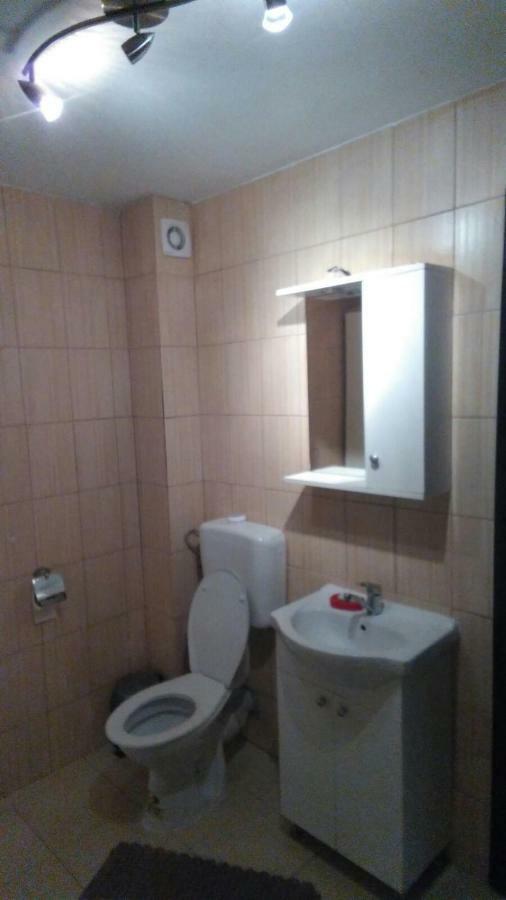 Alexander Apartment Bukurešť Exteriér fotografie